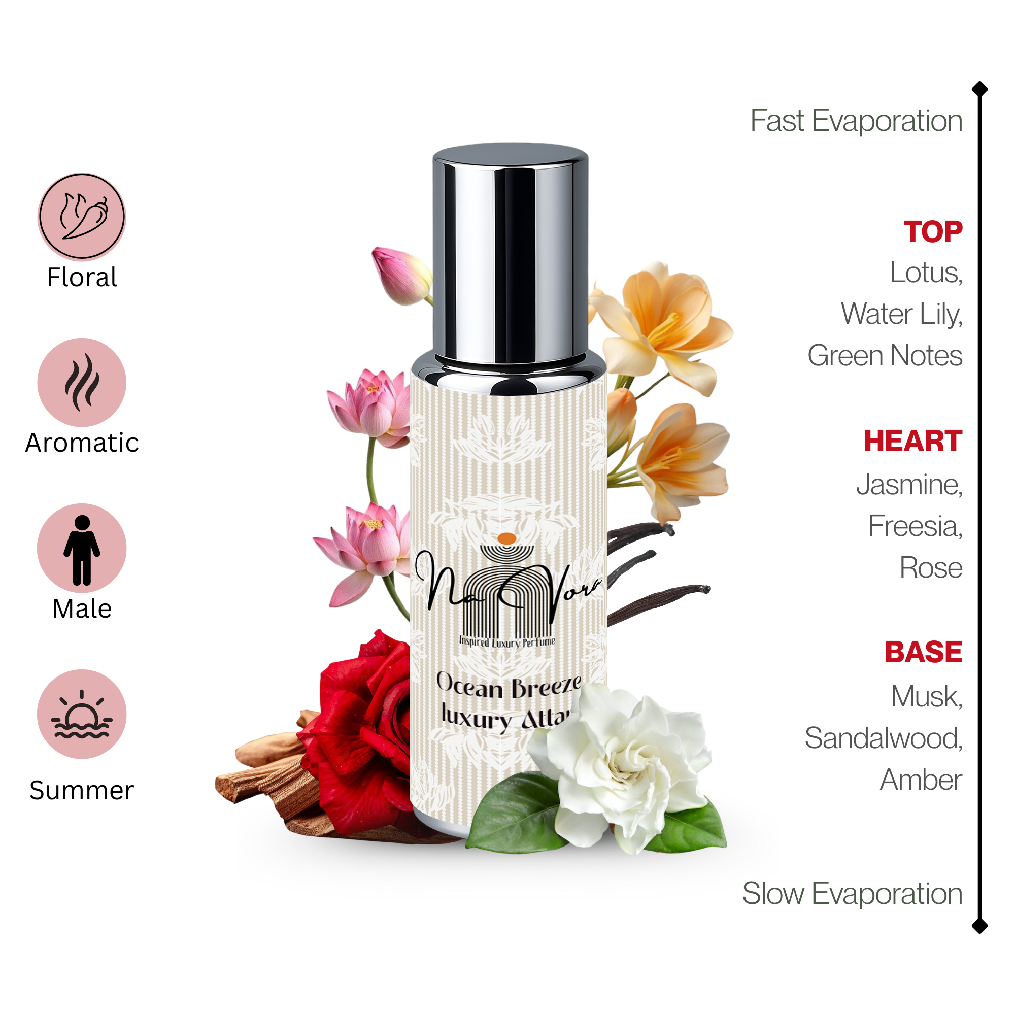 Navora Ocean Breeze Perfume for Men (6ML)